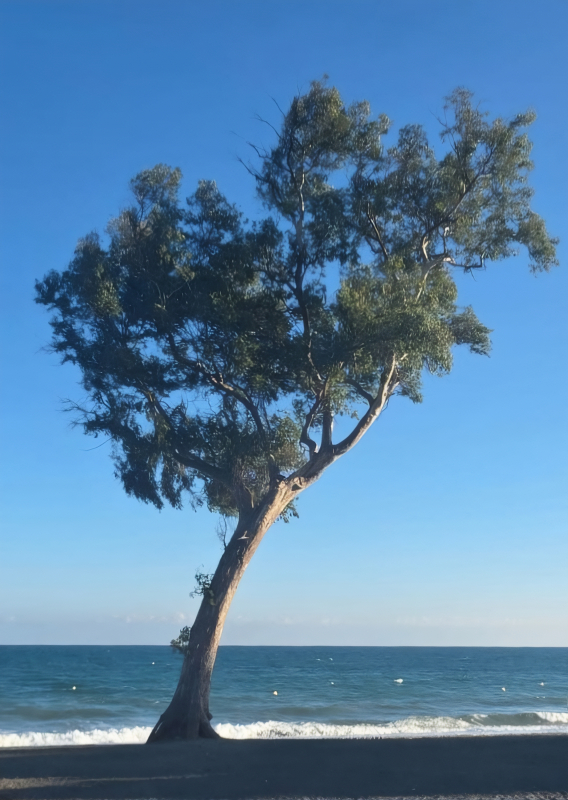 2025: Neues Atelier Marbella
