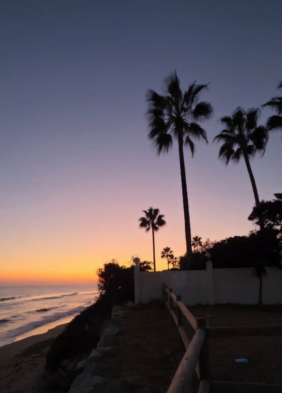2025: my new painting studio Marbella 2